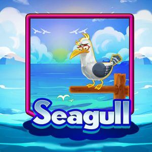 Seagull